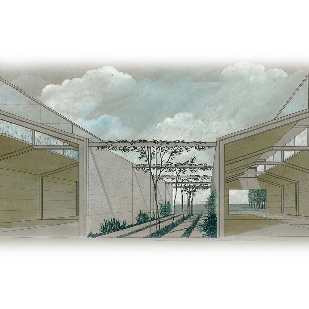 Innovare Moreno Pivetti_2. SEZIONE PROSPETTICA GALLERIA AGRICOLA