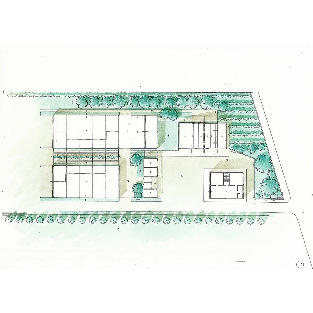 Innovare Moreno Pivetti_PLANIMETRIA GENERALE DI PROGETTO