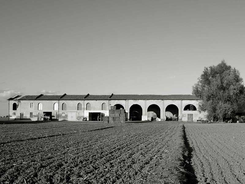 moreno pivetti convegni B